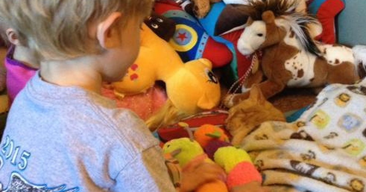 Boy Does The Nicest Thing To Make His Rescue Cat Feel At Home The Dodo