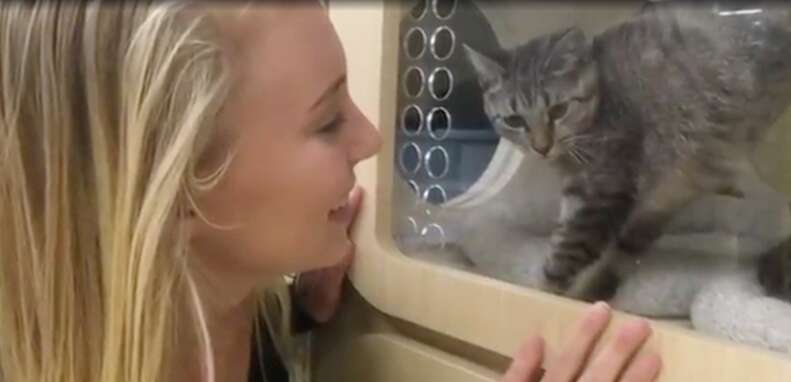 teen girl raises $43,000 for animals