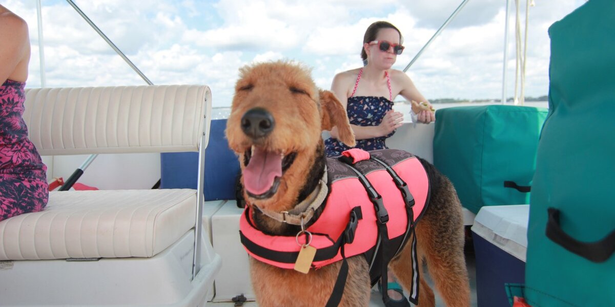 Boat Captain Dog T-Shirt