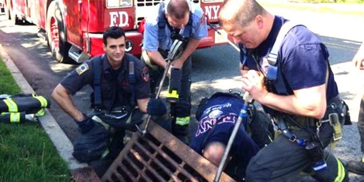 Firefighters Rescue Family Of Ducklings That Tumbled Down A Storm Drain ...