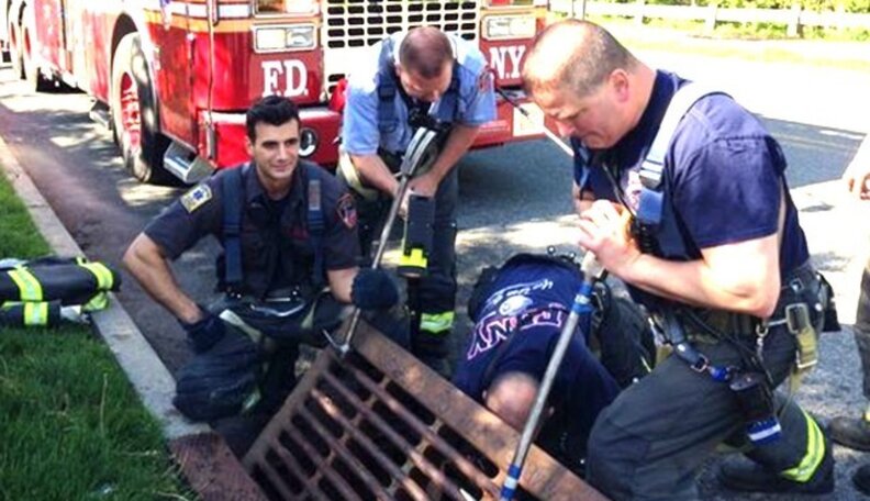 Firefighters Rescue Family Of Ducklings That Tumbled Down A Storm Drain ...