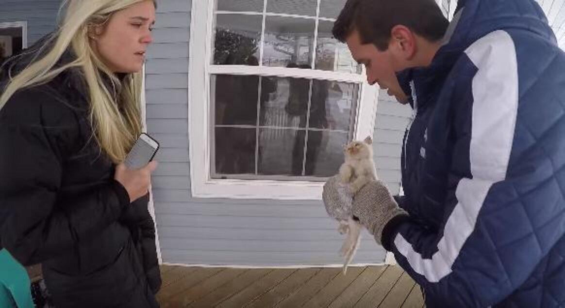 Family Finds A Frozen Kitten, Then Brings Him Back To Life The Dodo