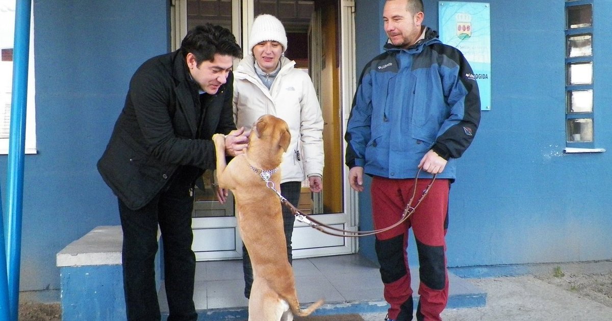 Nurse Whose Dog Was Killed Amid Ebola Scare Adopts Shelter Puppy The Dodo