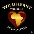 Photo of author Wild Heart Wildlife Foundation
