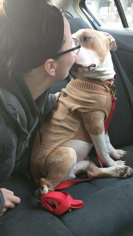 Russ enjoying a car ride with his new mom, Kayla