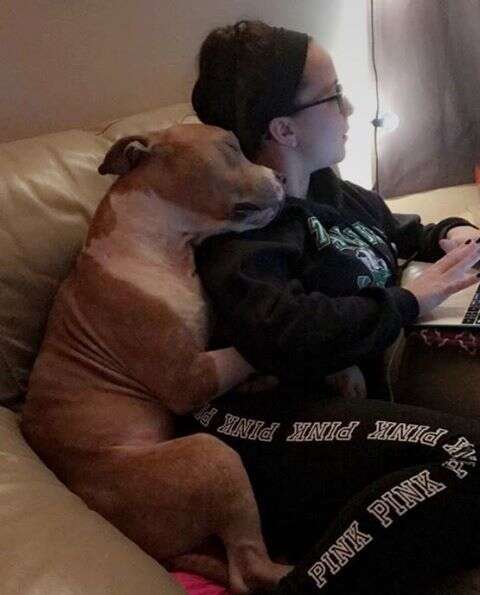 Russ the pit bull hugging his new mom, Kayla