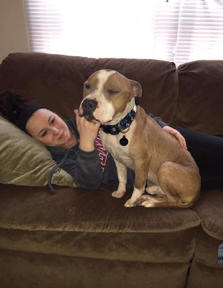 Russ the pit bull with his new mom, Kayla