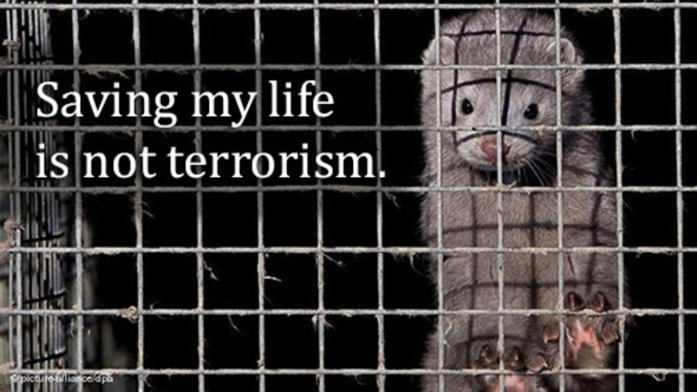 Thanks To Fur, Meat And Milk, Animal Activists Are Now Terrorists The
