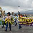 Protesters Target Rock Springs BLM Wild Horse Roundups