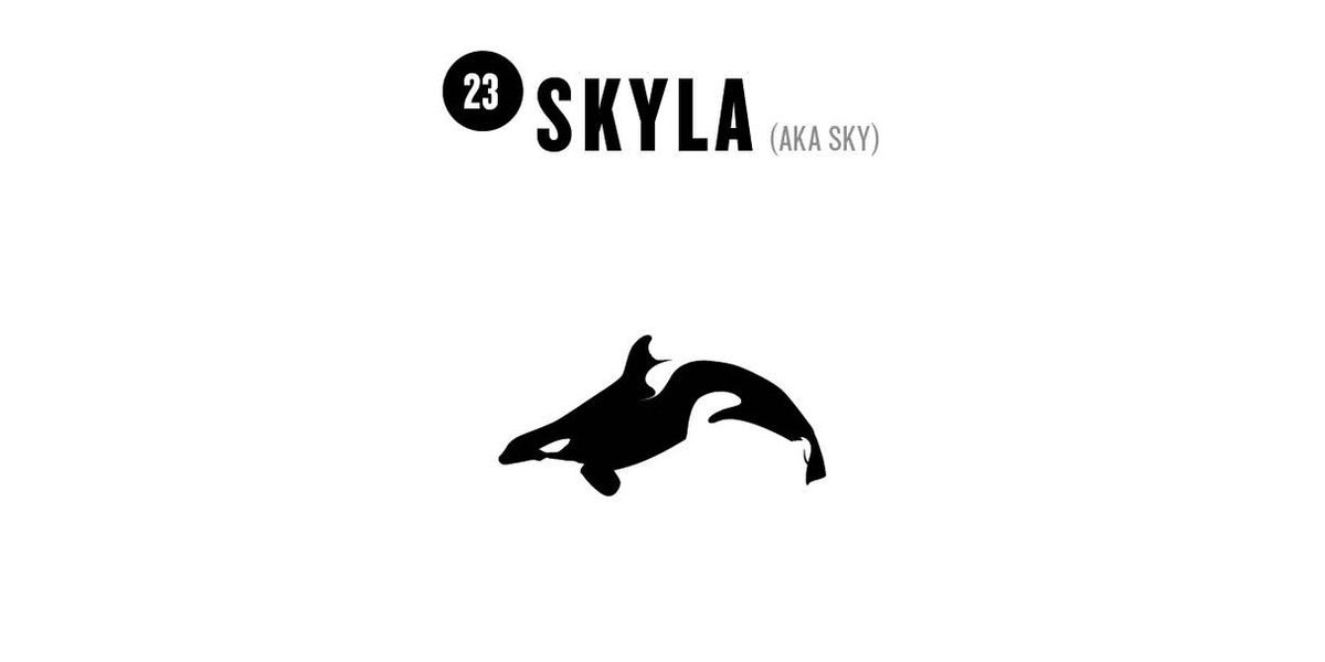 23 Skyla The Dodo 