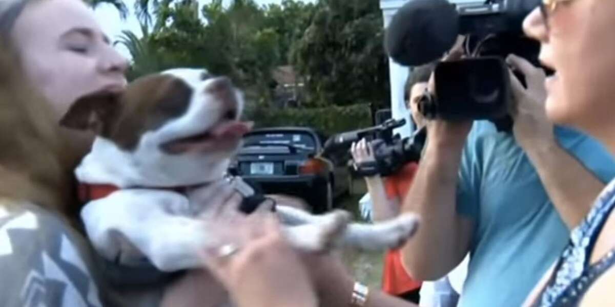 Lost Puppy Gleefully Reunites With Family After 7 Years Missing - The Dodo