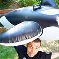 Steve-O sentenced 30 days in jail for “SeaWorld Sucks” stunt