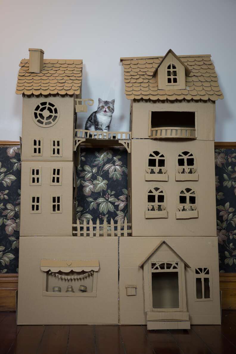 woman builds palace for her cat