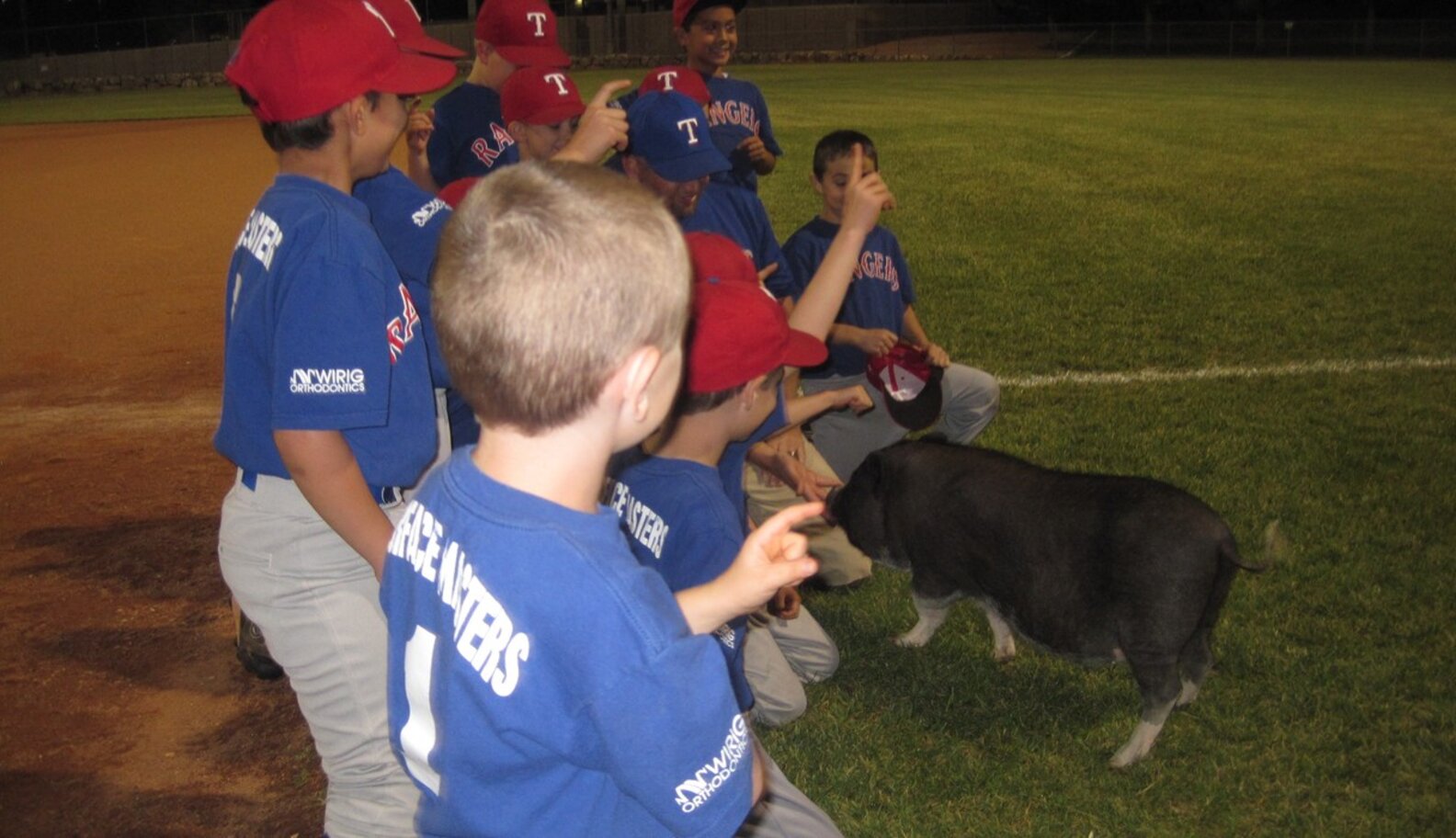 What Happens When Your 'Teacup' Pig Is 160 Pounds The Dodo