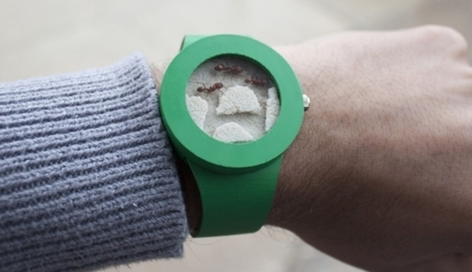 New Watch Holds Little Live Animals Captive On Your Wrist [UPDATE ...