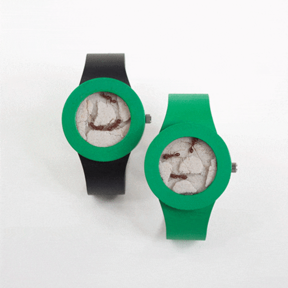 New Watch Holds Little Live Animals Captive On Your Wrist [UPDATE ...