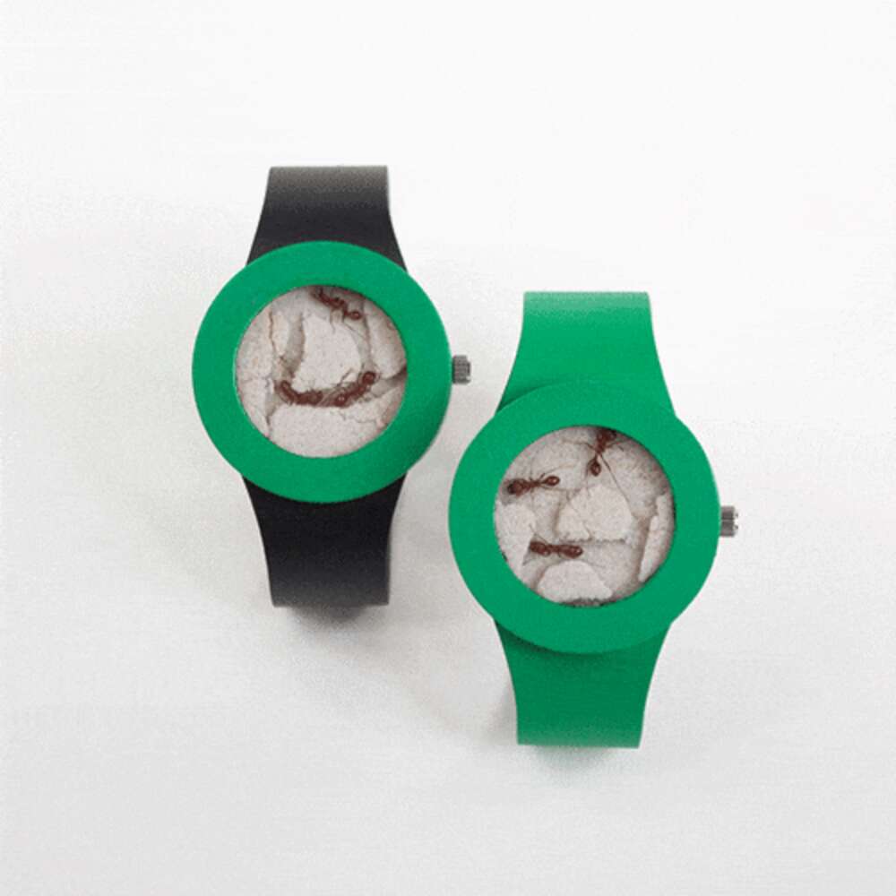 Animal Rip Watch New Watch Holds Little Live Animals Captive On Your Wrist [UPDATE ...