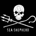 Photo of author Sea Shepherd