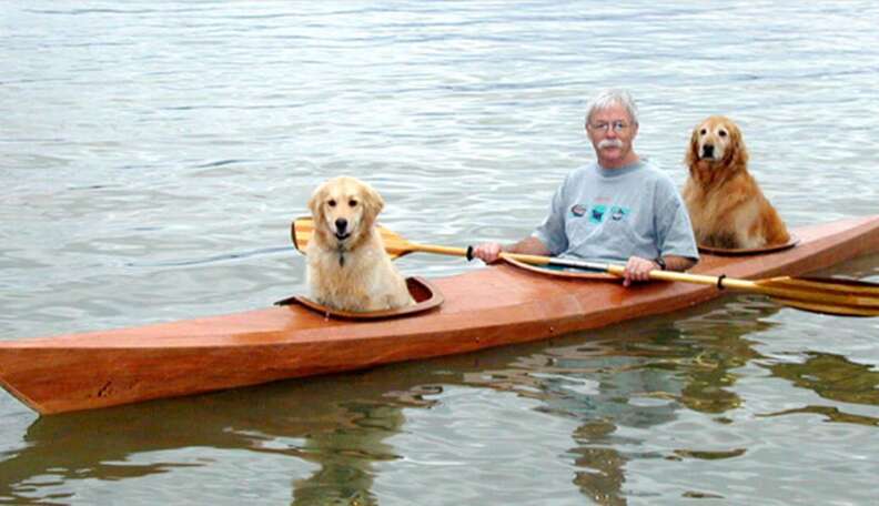 Man Builds A Special Kayak To Take His Dogs On Little Adventures