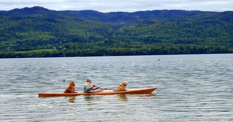 KAYAK WITH A DOG: Dog Paddling with Tiny