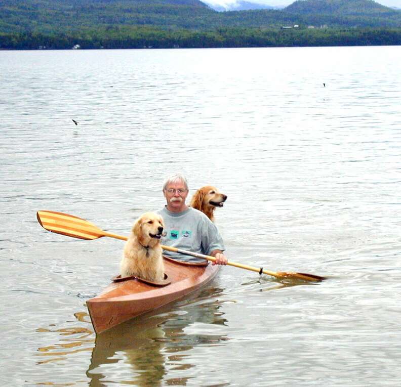 Man Builds A Special Kayak To Take His Dogs On Little Adventures - The Dodo