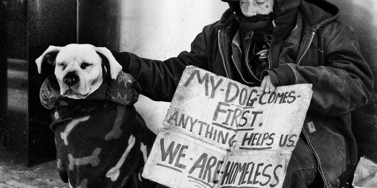 My Dog is My Home The Homeless and their Animal Companions The Dodo