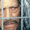 Danny Trejo Explains What Life's Like on the Streets for Homeless Cats and Dogs