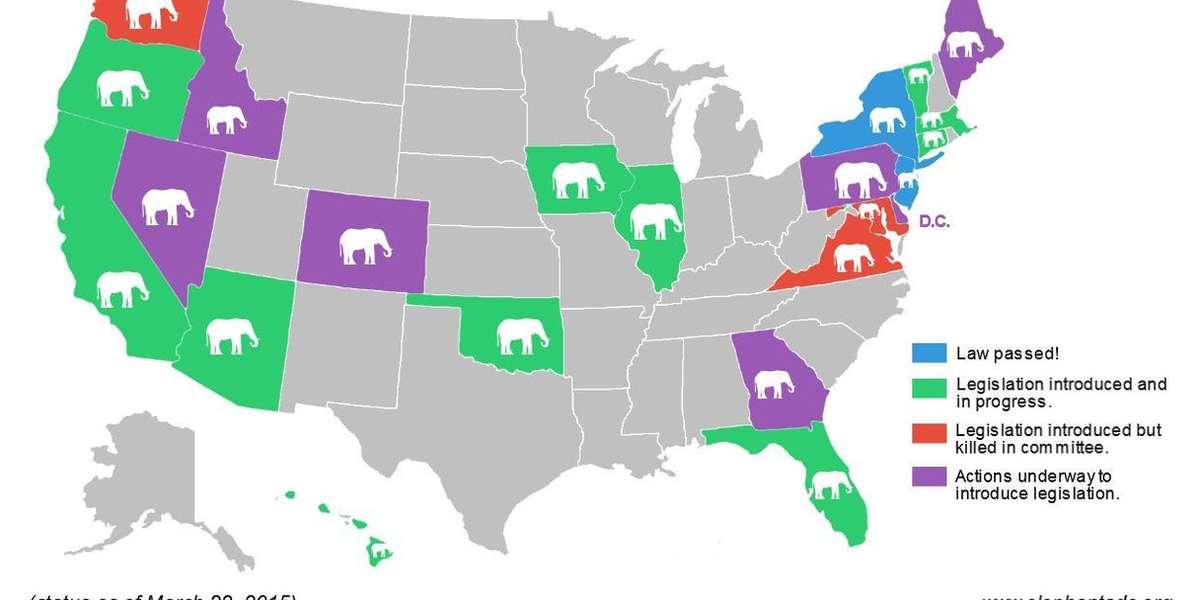 Is Ivory Trading Legal In Your State? - The Dodo