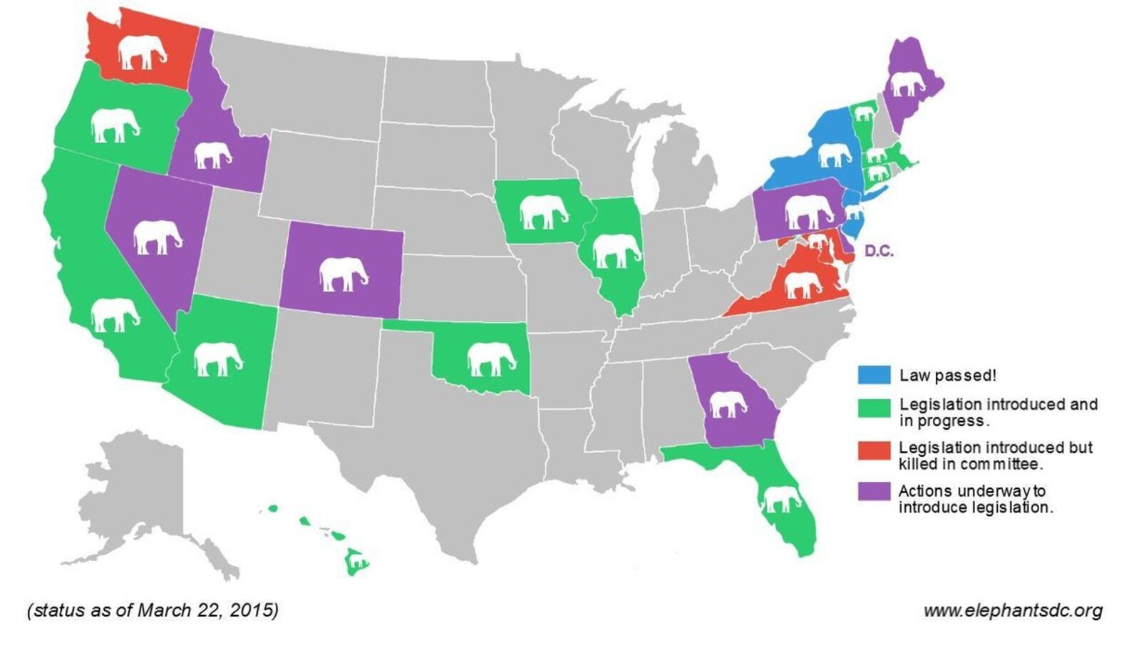 Is Ivory Trading Legal In Your State? The Dodo