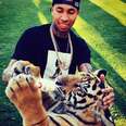 Tyga Slammed For Owning — And Ditching — Baby Tiger