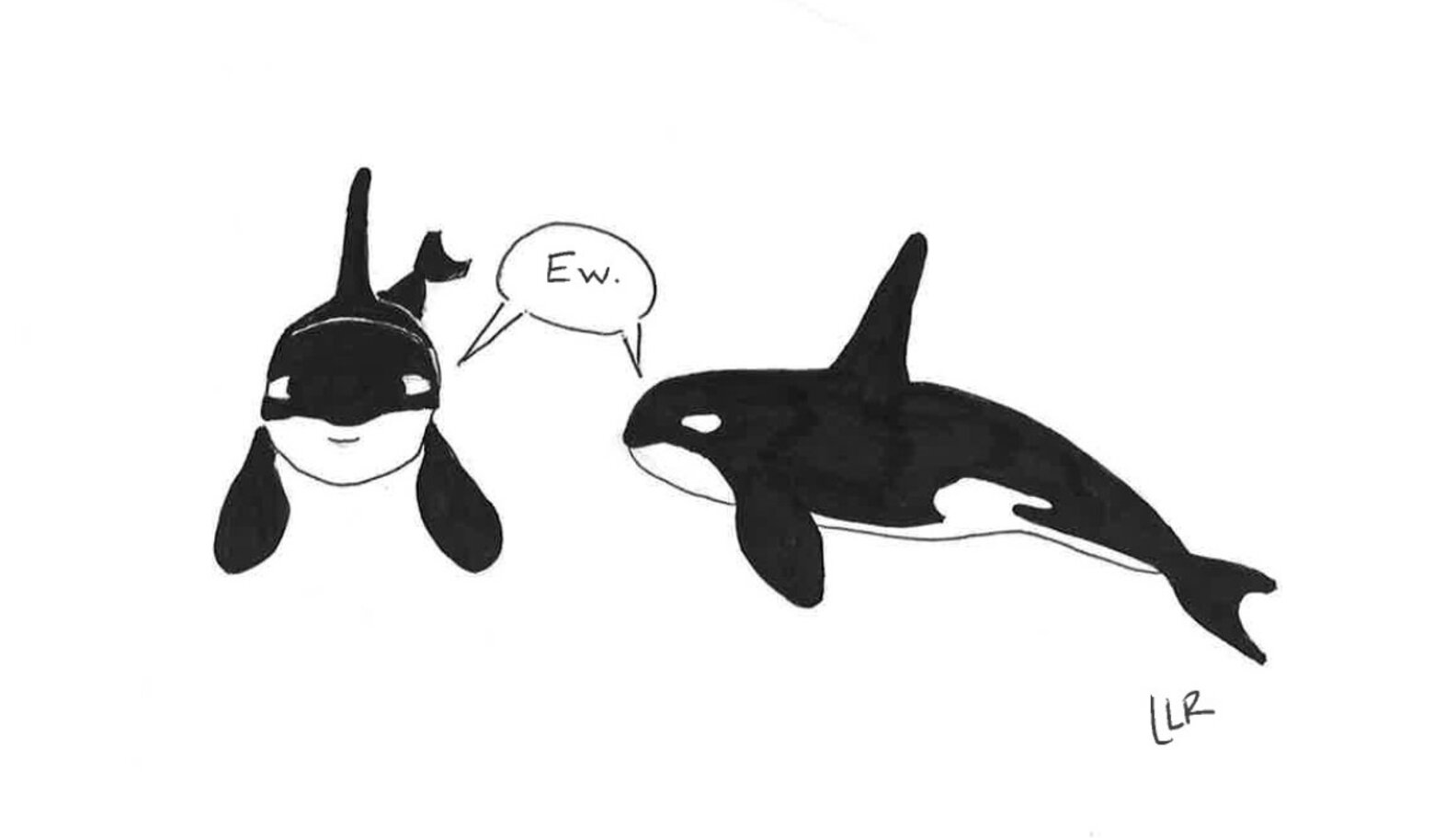 Dear SeaWorld, We Drew You 5 Cartoons To Explain Why Your Stock Is