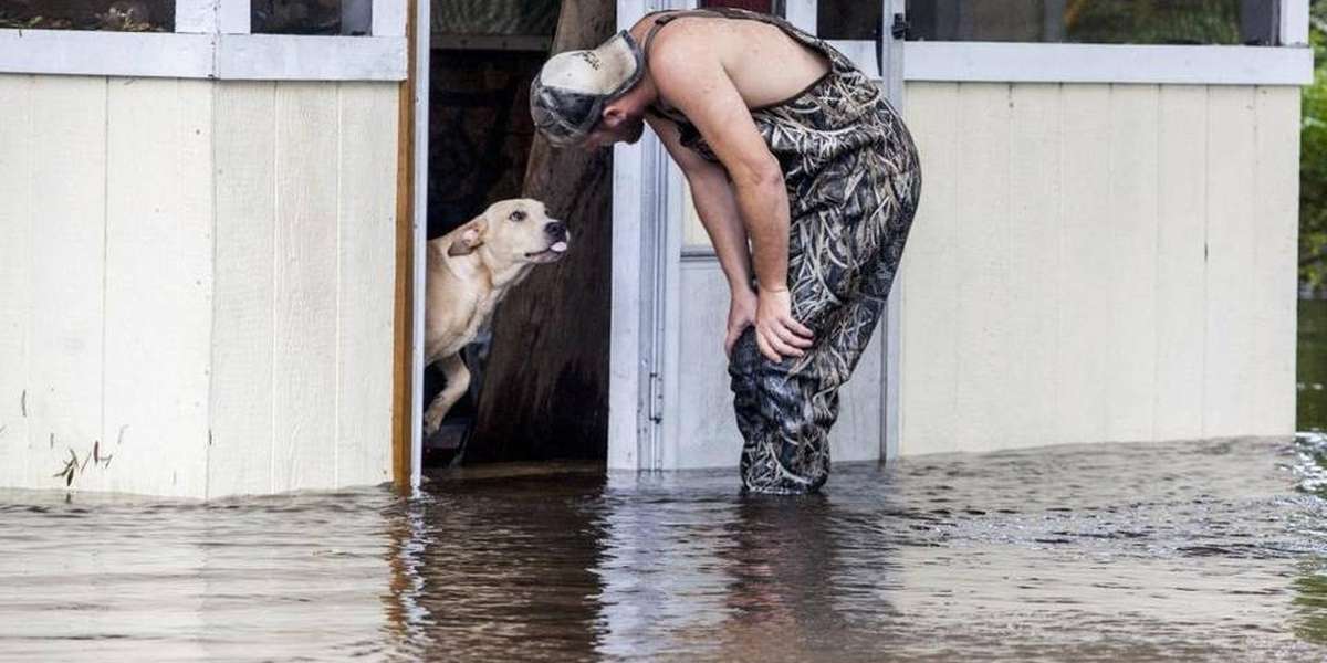Dog Refuses To Leave The Side Of Man Who Saved Him From Flood - The Dodo