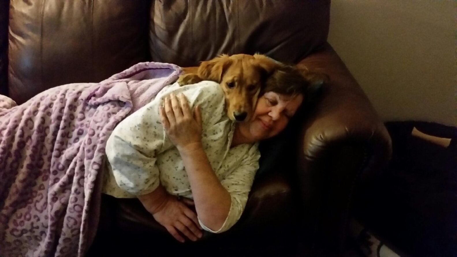 27 Dogs Who Really, Really Don't Like Thunder The Dodo