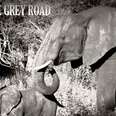 Namibian Desert Elephants: Take The Grey Road