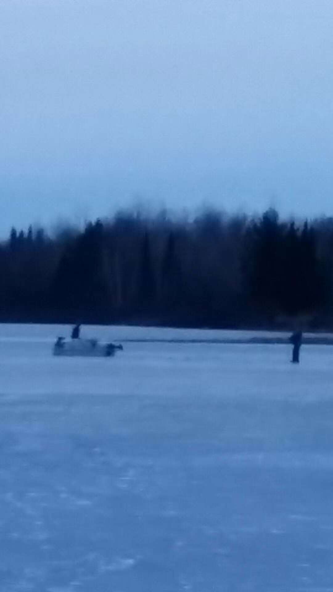 Deer Falls Through Icy Lake, Human Family Makes Daring Effort To Help ...