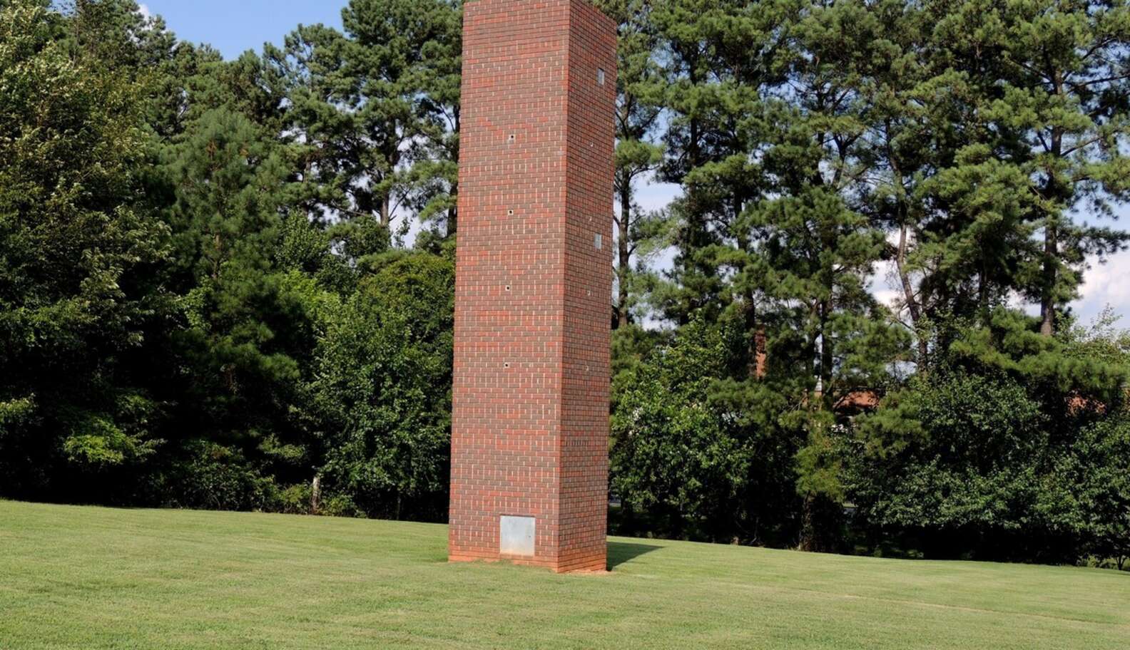 Swifts Are in a Free Fall—Conservationists Build Nest & Roost Towers to ...