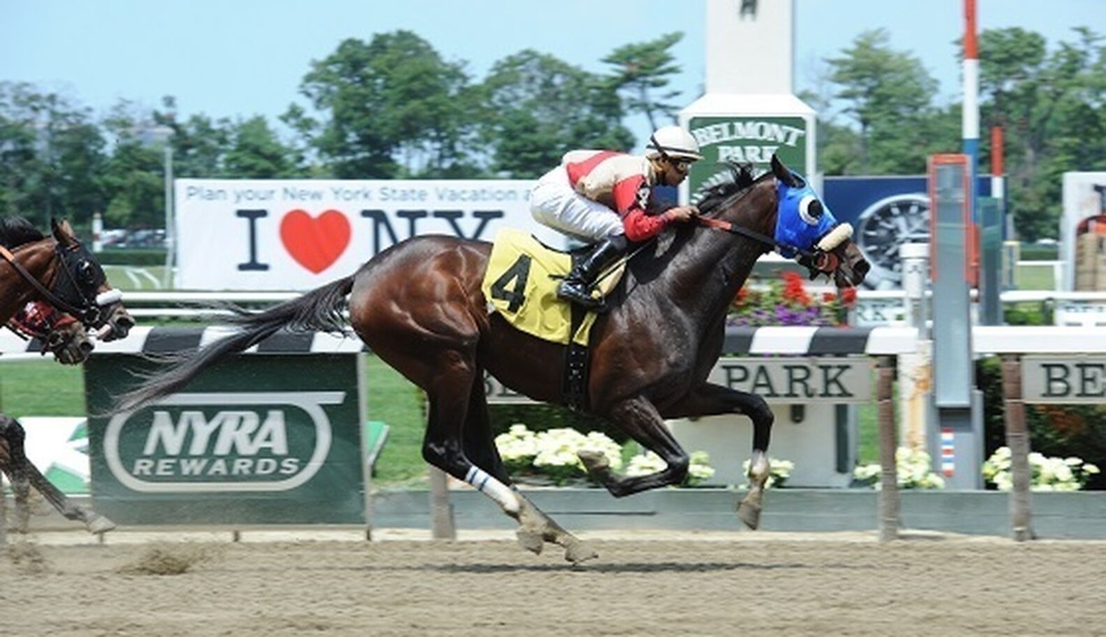 Racehorse Retirement Final Frontier The Dodo