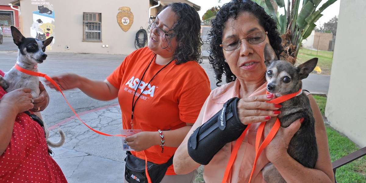 Two Sisters Took Their Dogs To A Shelter, Found A Way To Take Them Back