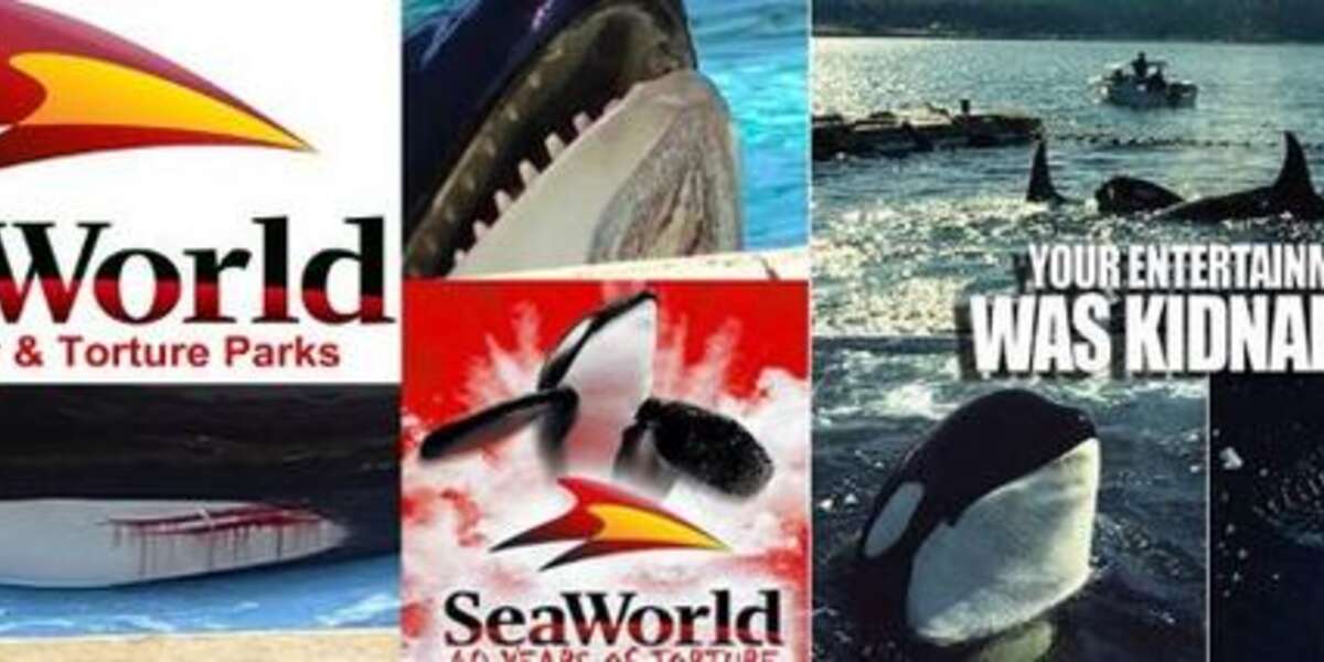 Is a full boycott around the corner ..??? O YES..!!! #Blackfish # ...