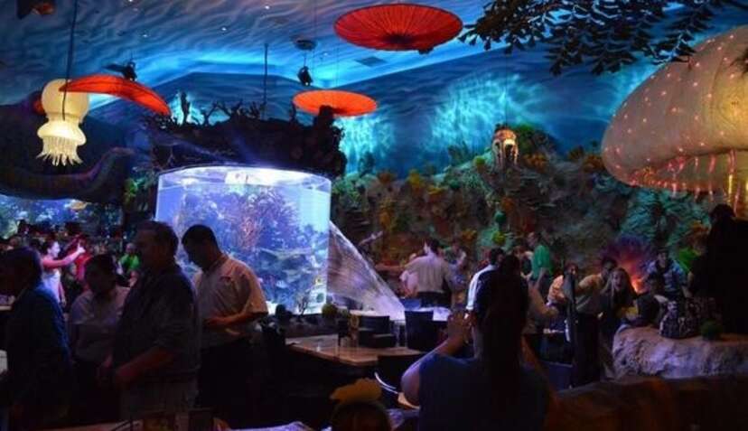 Giant fish tank bursts in a Disney restaurant, sprays water all over  patrons!