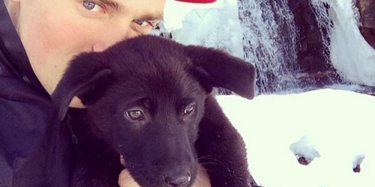 Olympic Skier Gus Kenworthy Back Home With 2 Sochi Strays The Dodo(02)