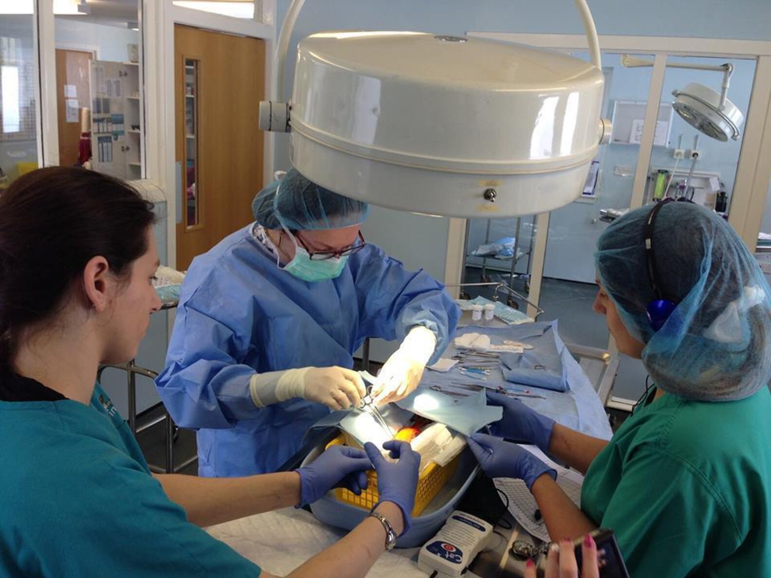 Devoted Owner Spends 750 For Lifesaving Surgeries On Goldfish The Dodo