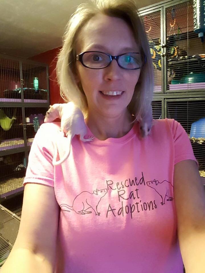 2 Dumped Hairless Rats Picked Up By Indiana Cops Need A Home The Dodo