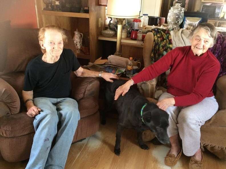 Elderly couple Lillian and Red Bibber with senior dog Shelby