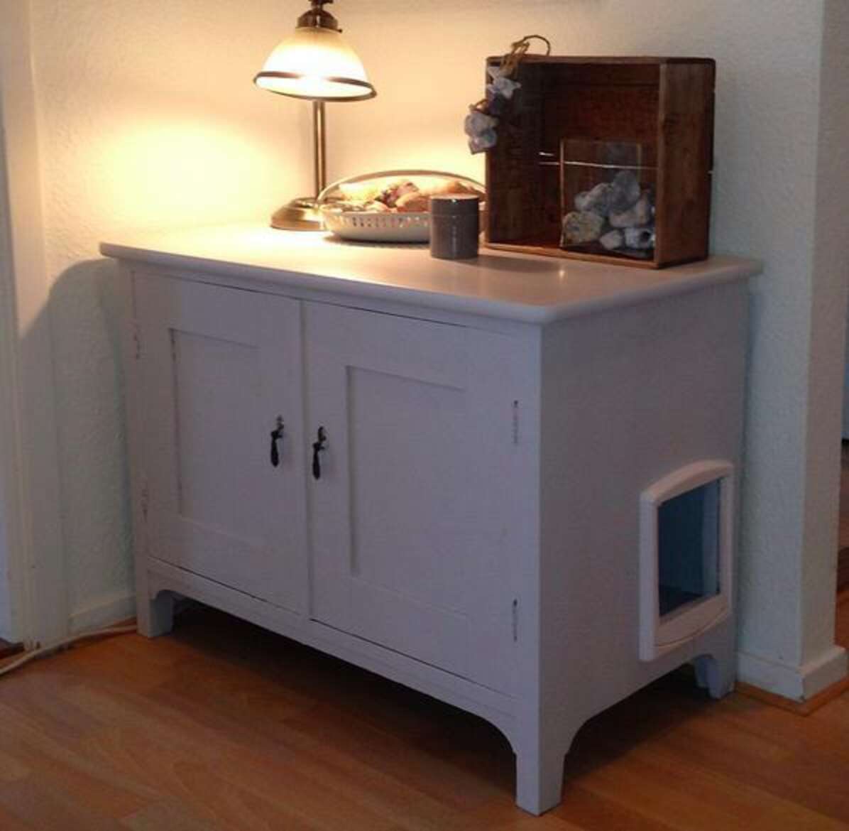 13 Truths All Cat Owners Who Live In Apartments Know The Dodo