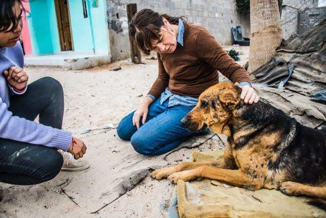 Personas ayudando a un perro callejero en México