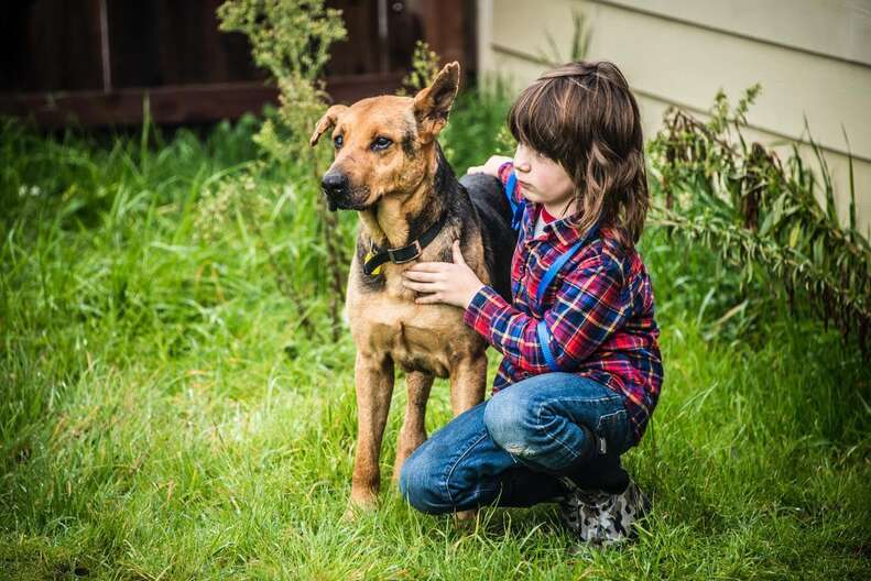 Don Felipe the dog at the rescue center in California