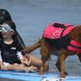 4-Year Old With Debilitating Illness Loves Surfing With Doggie