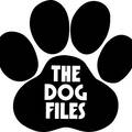 Photo of author DogFiles