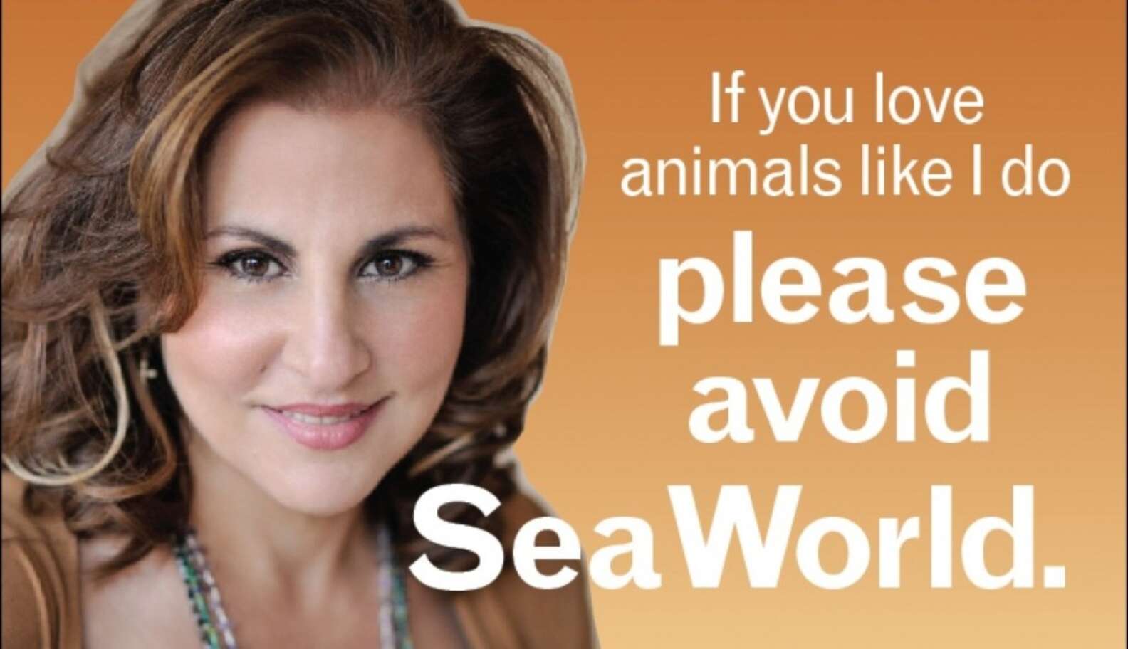 ACLU Sues San Diego Airport For Refusing Anti-SeaWorld Ads - The Dodo